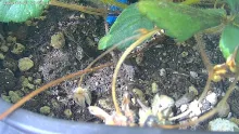 user10_20260421_100005_b79cff_pred.jpg
